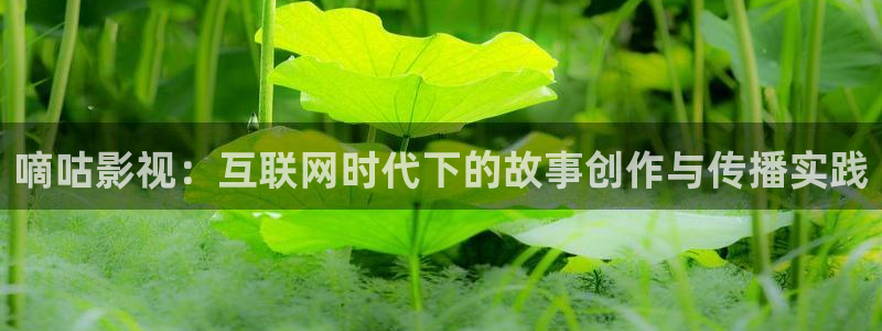 2019光棍影院视频免费观看：嘀咕影视：互联网时代下的故事创作与传播实践